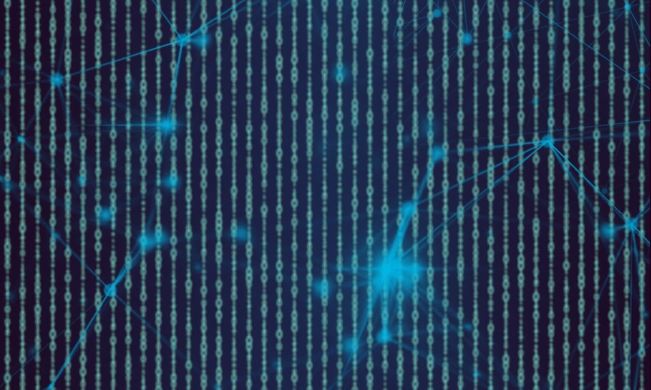 探索最新登录网址，揭秘神秘91门户